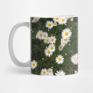 Little White Daisies Mug